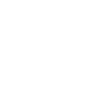 NORTH IDAHO NOW LOGO